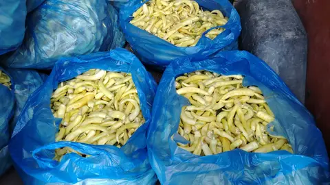 🍎🥔 ხილ-ბოსტანი — თქვენს სახლთან! 🧅🥒 — 200₾