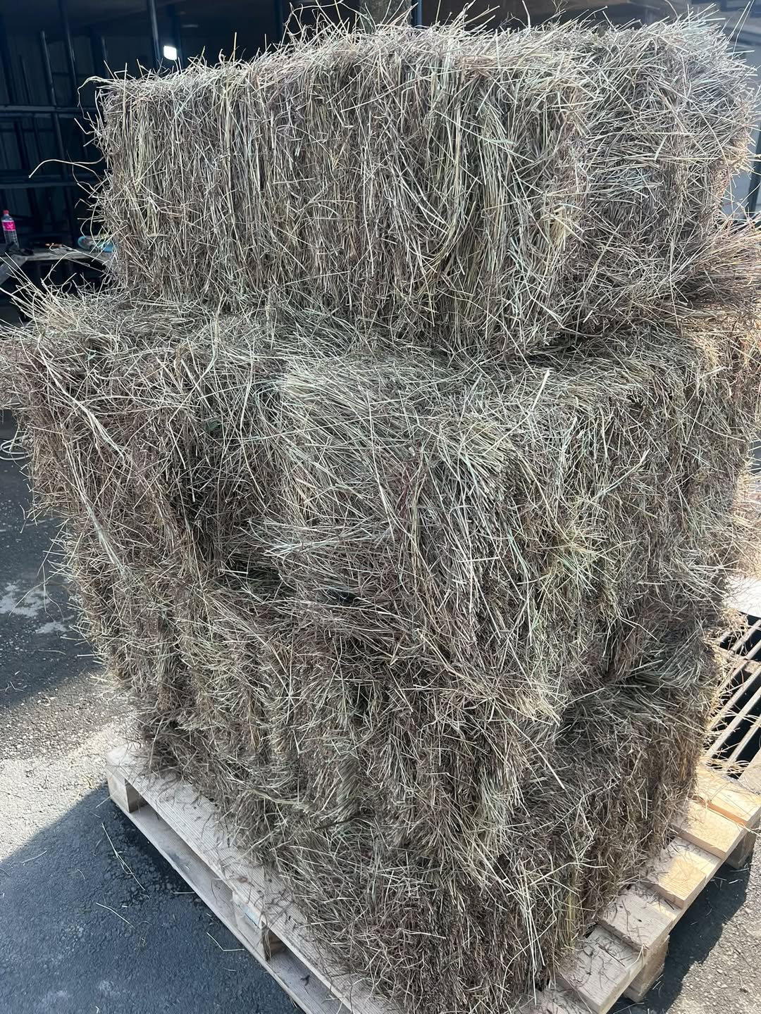 Satılık saf otlar presi. Üzerinde leke veya çöp yok - 13₾