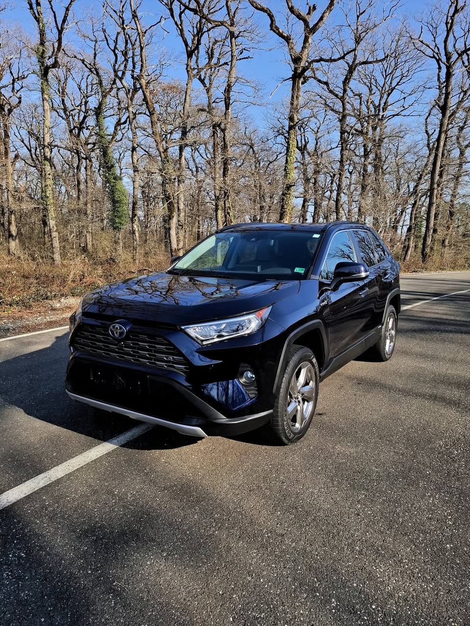 Toyota Rav4 Hibrid Limited 2020