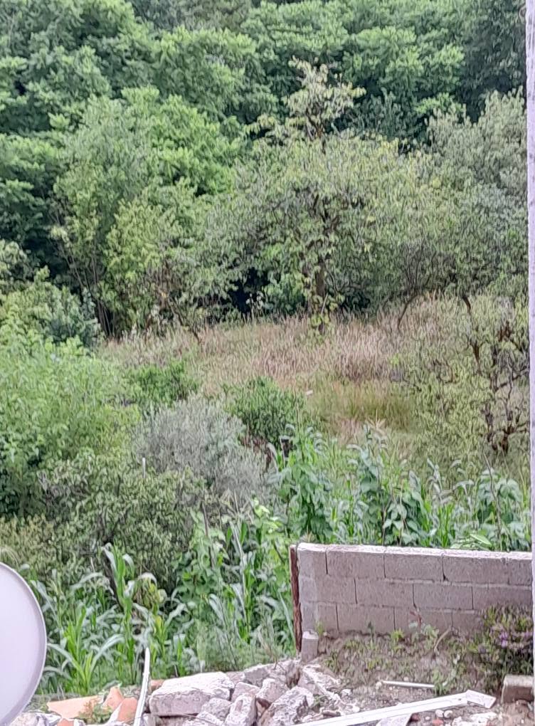 Günəşli dəniz mənzərəsi ilə yer saray kimi görünür