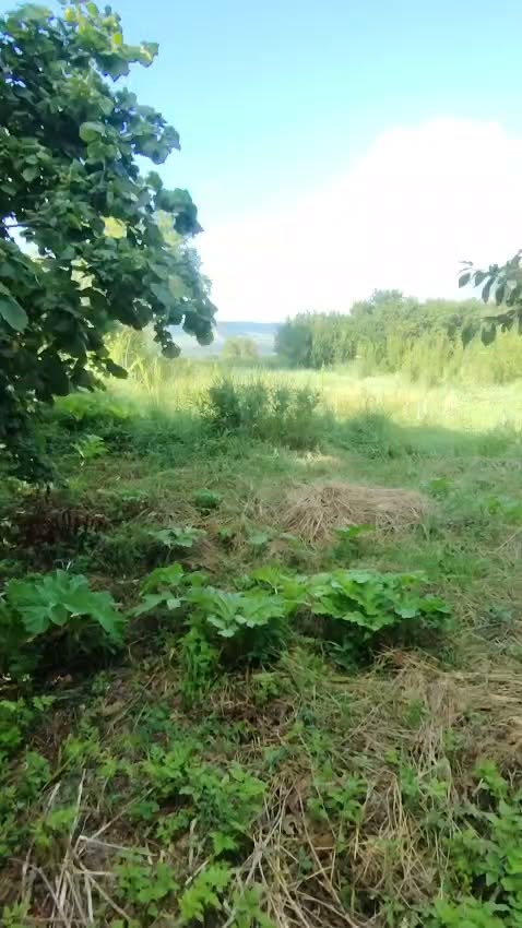 Arazi, Mtskheta — $25,000