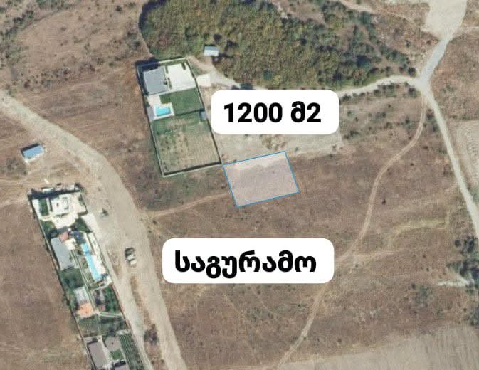 Cutting 1200 m², Saguramo
