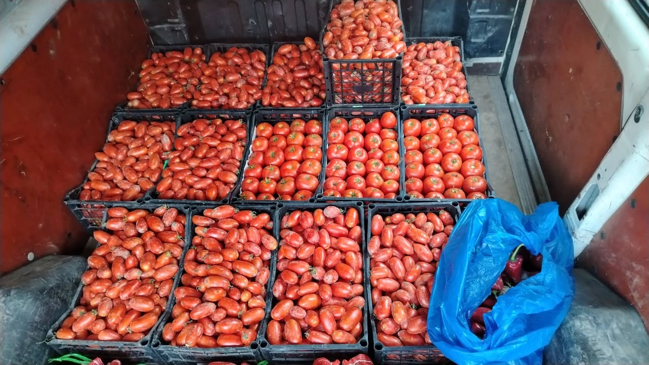 Pamidoro 1.50. Soğan 1.50. Adrese teslimat - 1.5₾