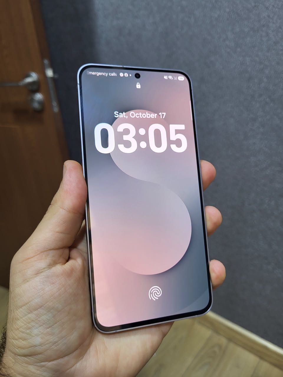 Samsung Galaxy S25 FE 5G, американский,