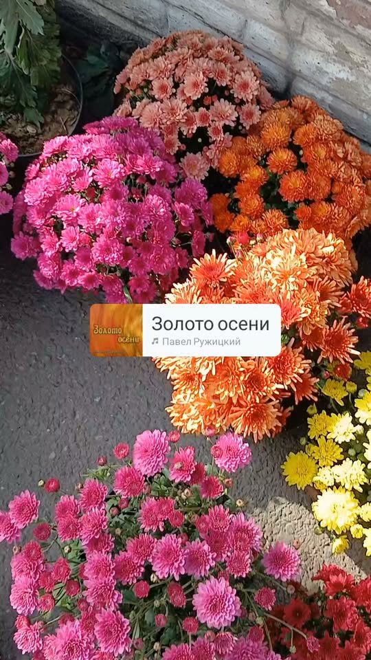 Otomobil