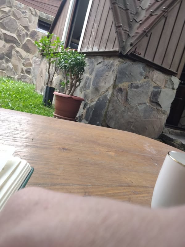 Apartment for rent, Tbilisi — 1,350 ₾