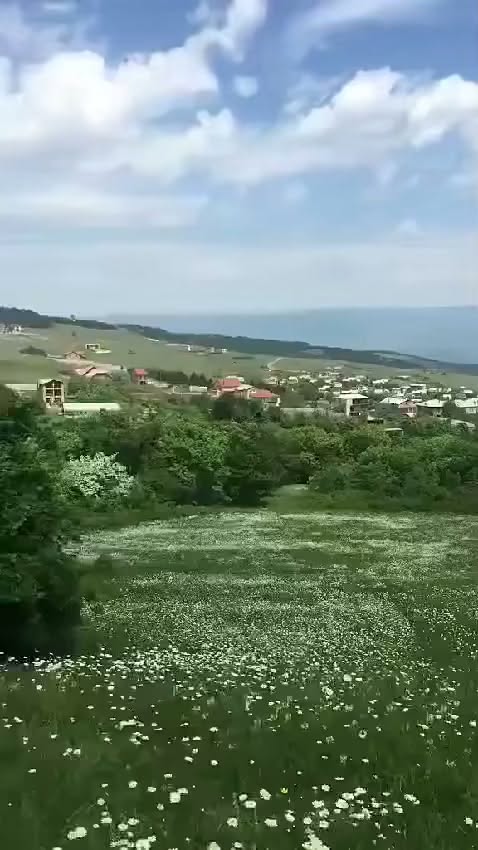 8500 კვ.მ მიწის ნაკვეთი წავკისში