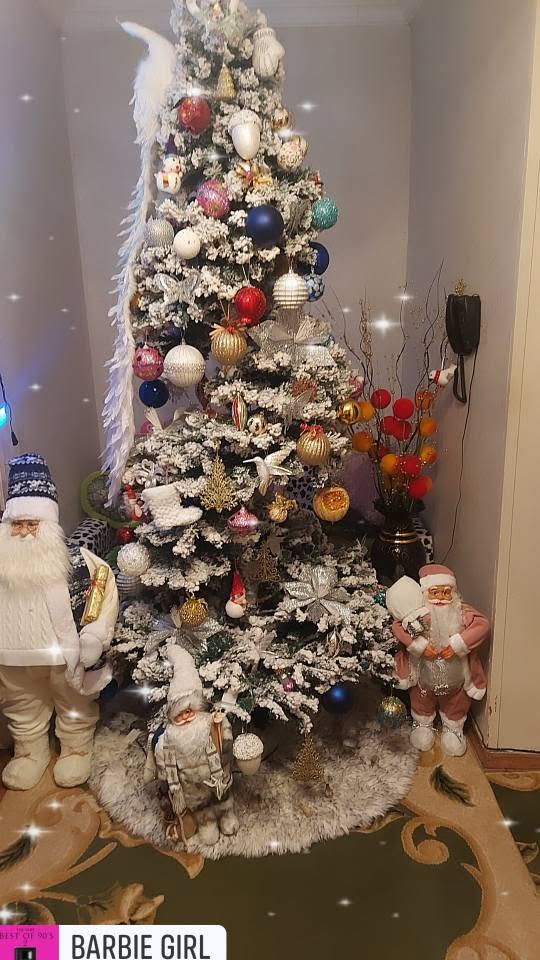 2.40 cm otive fir tree for sale. 500
