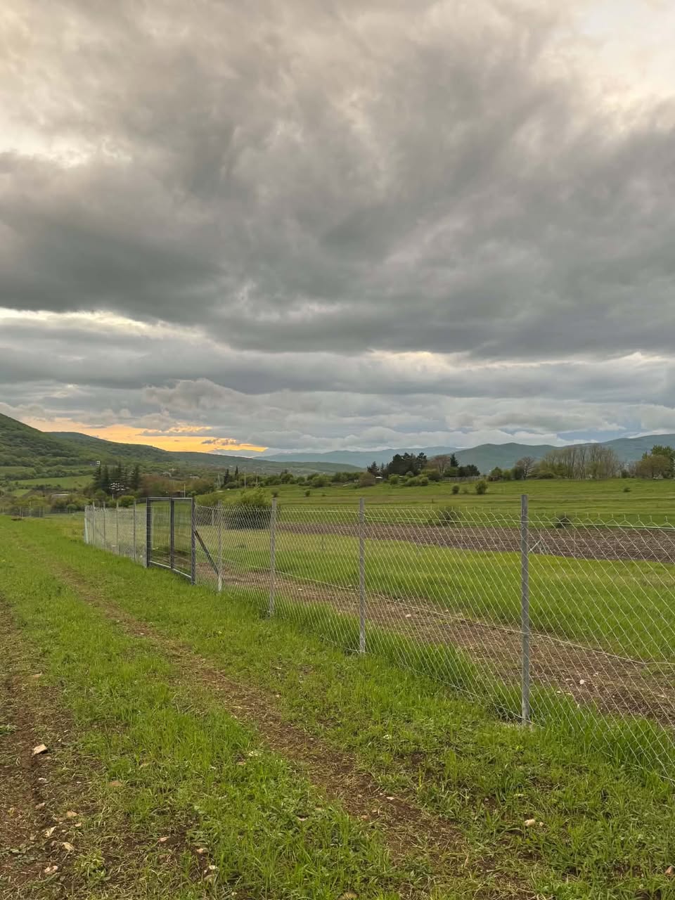 For urgent sale a plot of land in Bazaleti, village