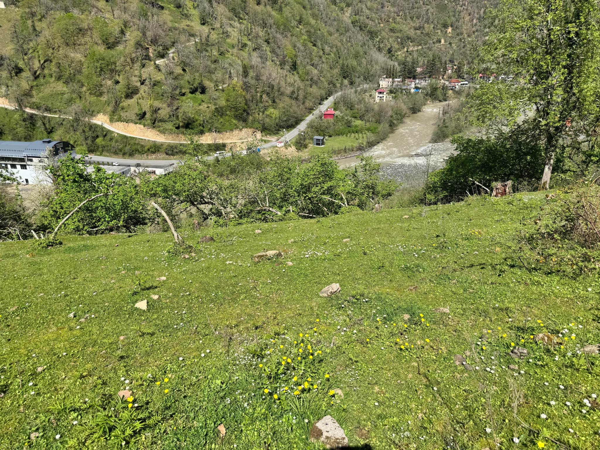 Land plot, Khelvachauri — $40