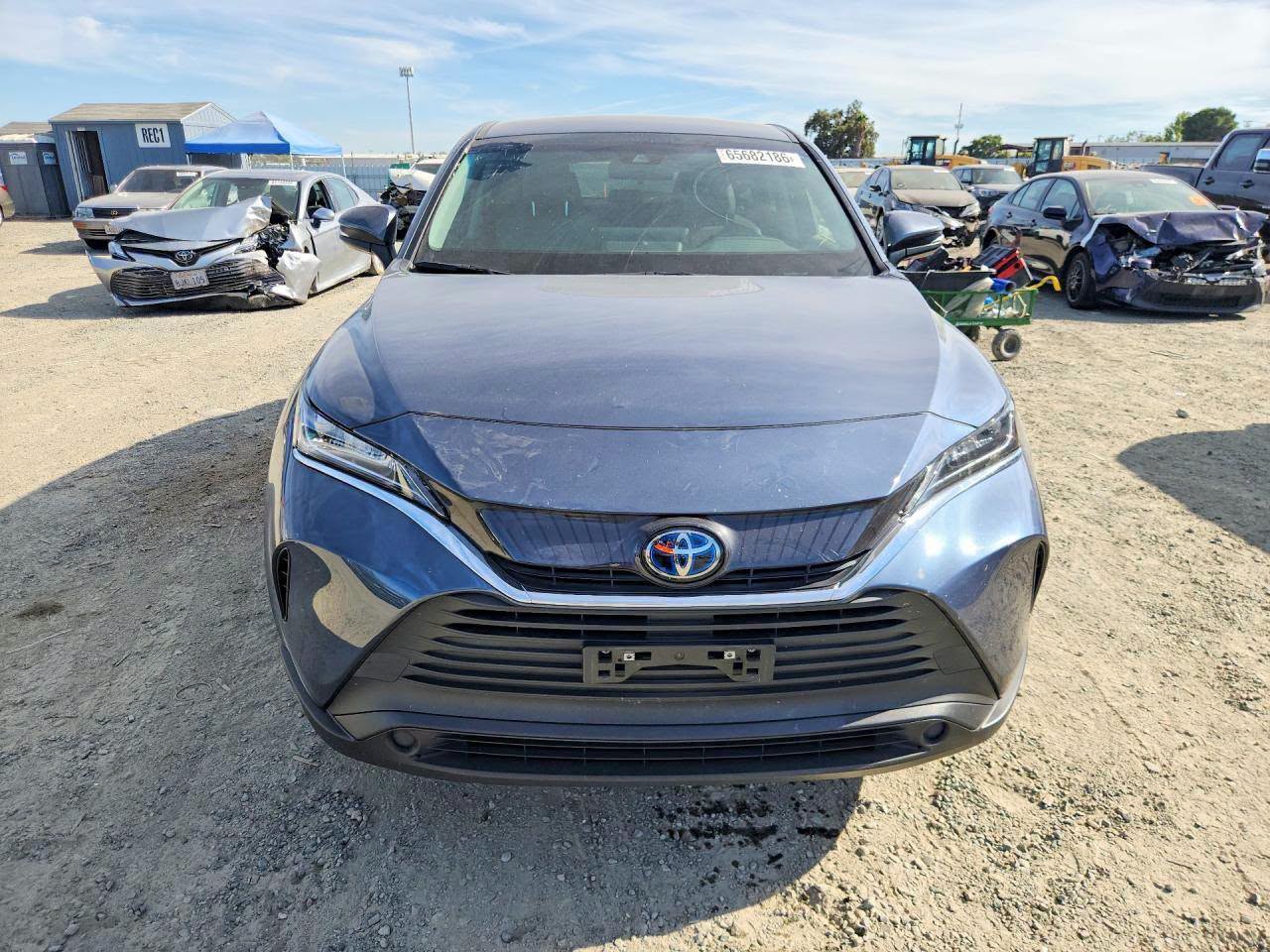 Toyota Venza 2021