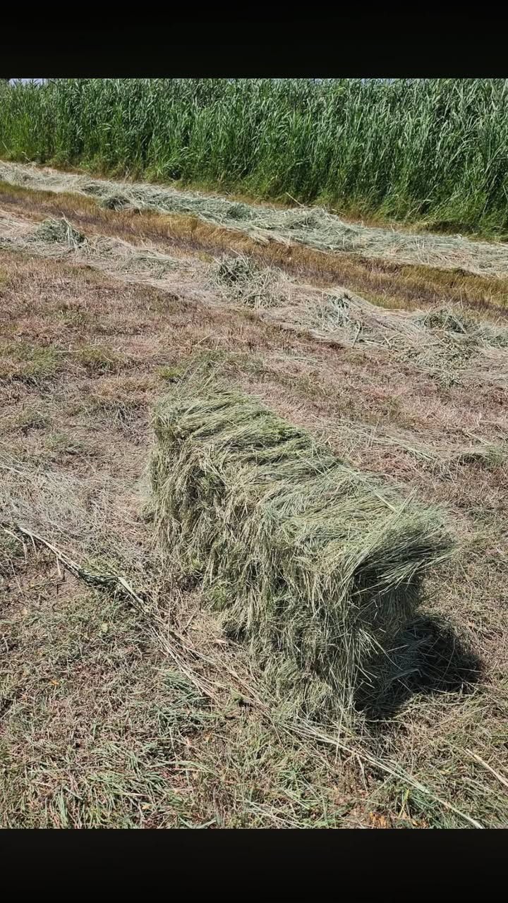 Satılık çim balya pres makinaları