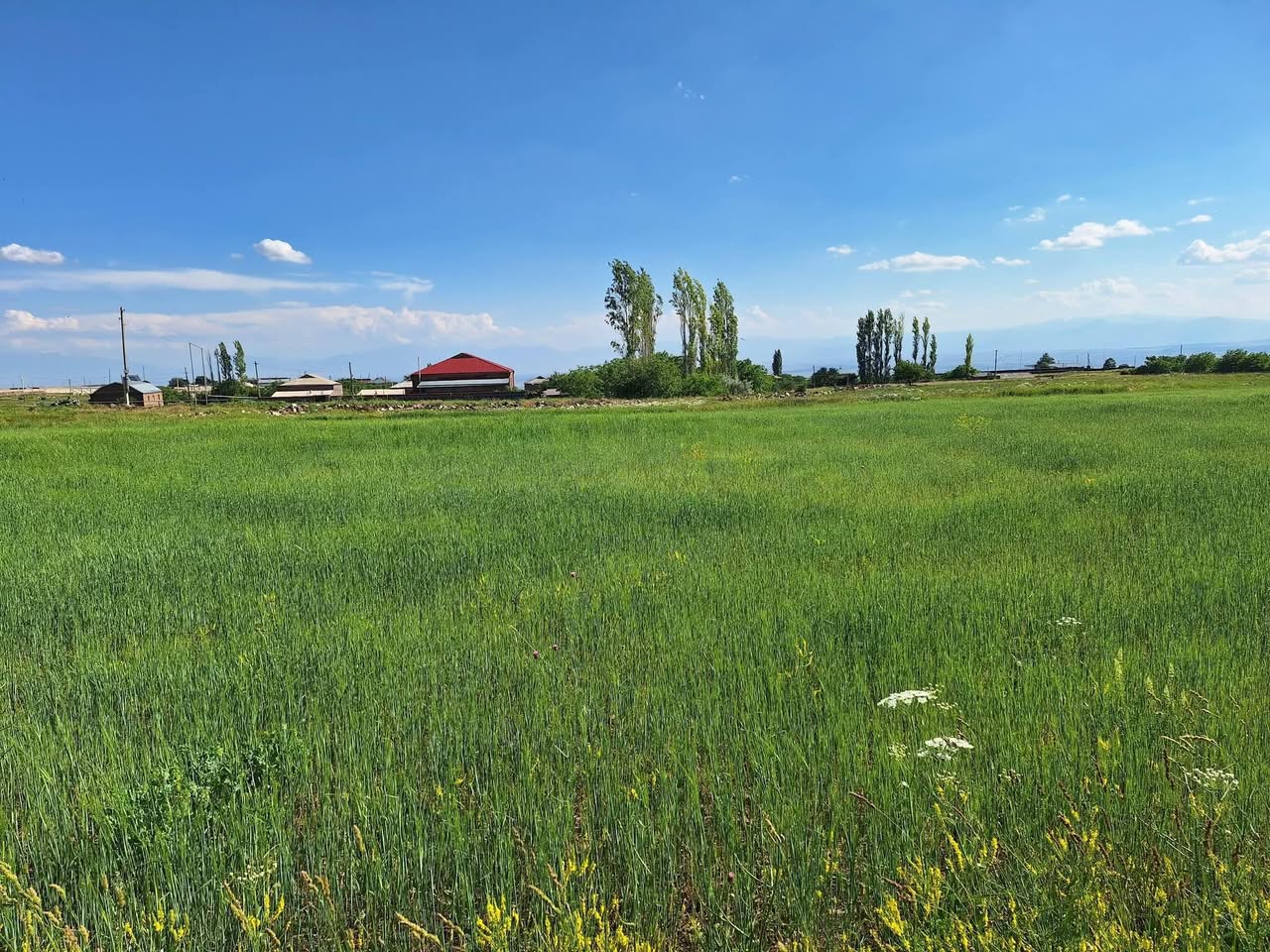 Torpaq 2000-ը 13,500 դոլլար է