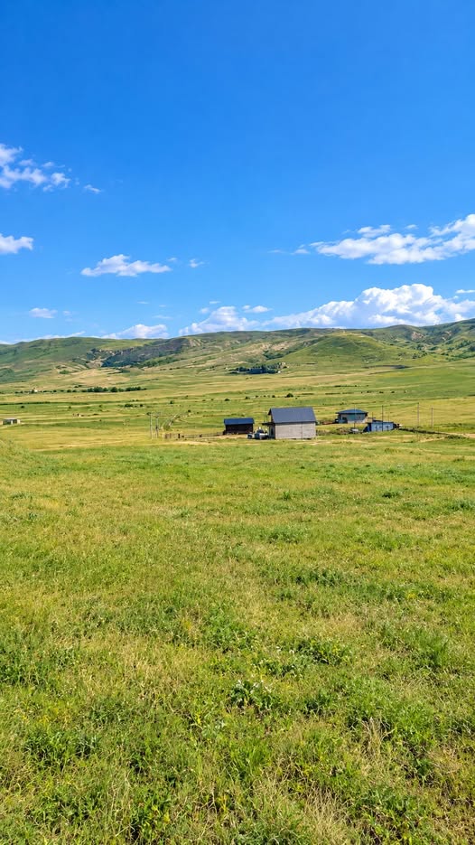Land plot, Tbilisi