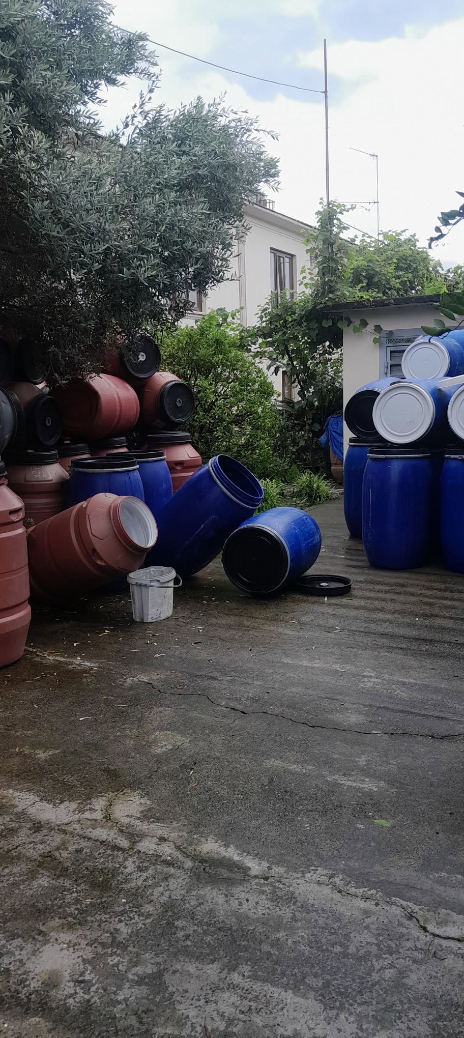250 ve 220 litrelik kaseler satılık. Fiyatlar Zugdidi'de veriliyor.