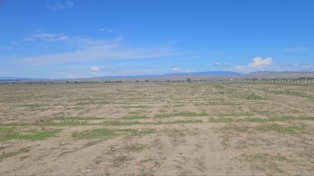Gardabani bölgesinde 27.5 ha arazi satılık