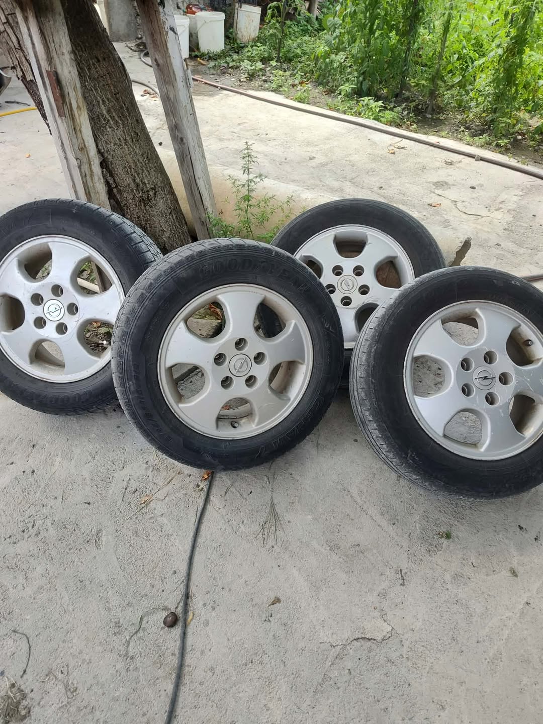 14 te'bi 4 boltlu ideal satılık