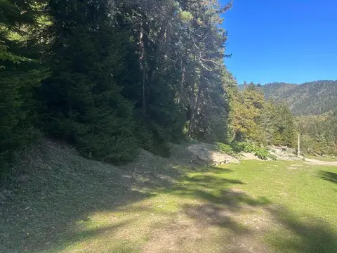 Torpaq sahəsi, Borjomi