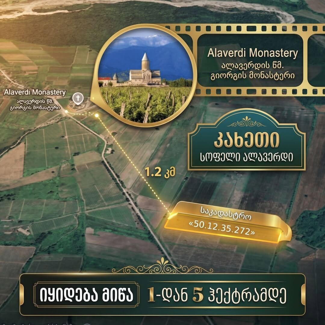 Torpaq sahəsi, Telavi — $17,800