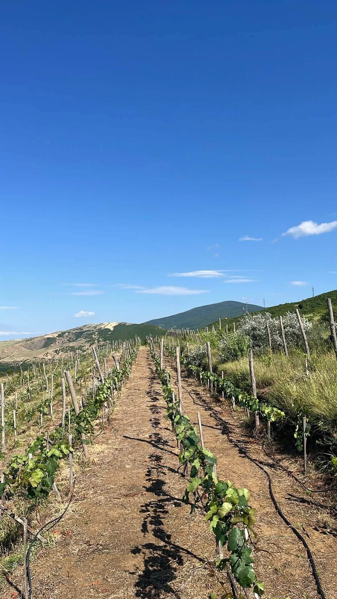 Plot of land, Gori