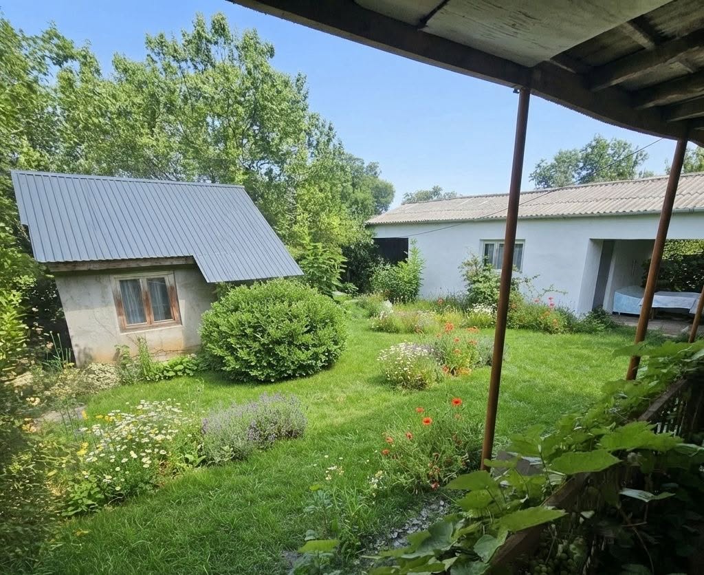 A house is for sale in the village of Sakobo (Sighnaghi municipality)