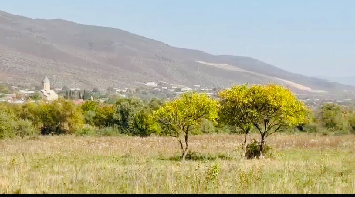 1500 sq.m land plot in Tsilkani