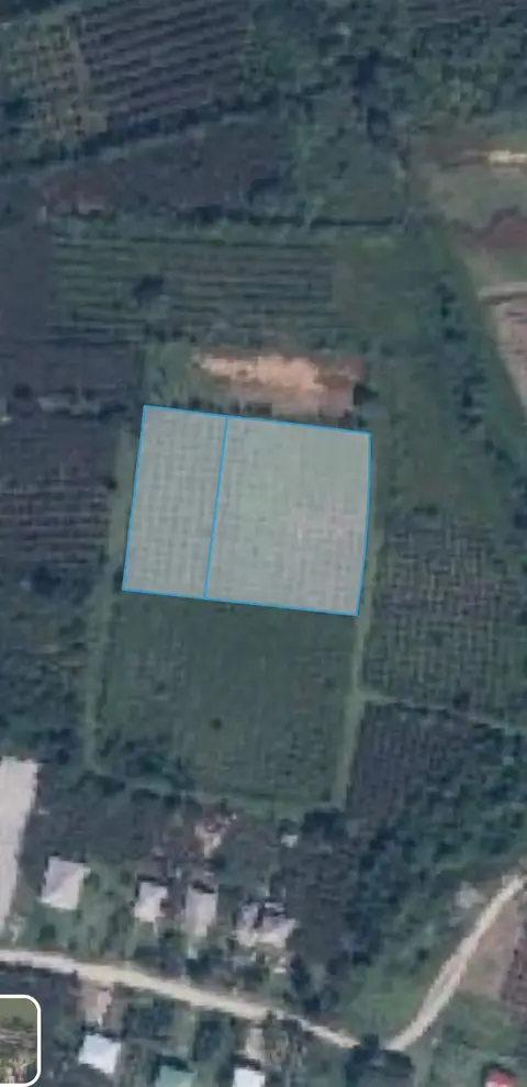 Meşəlik 350 ağacla, 6000 kv.m