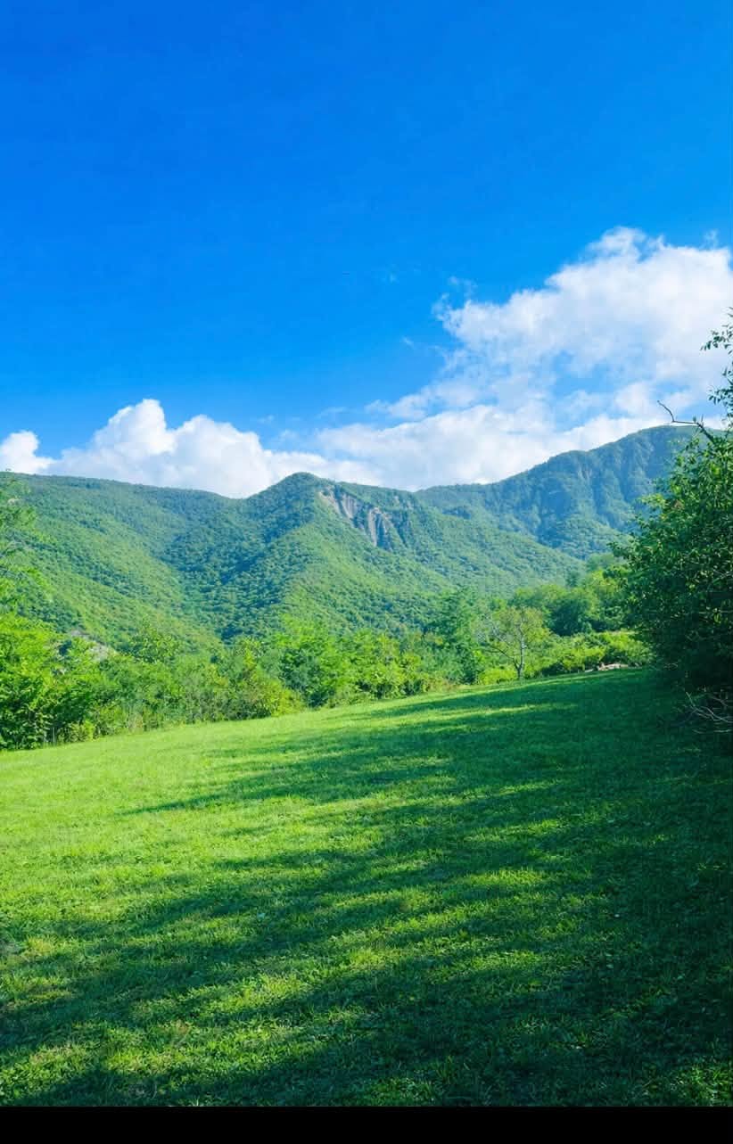 Հողակտոր, Մցխեթա — $32
