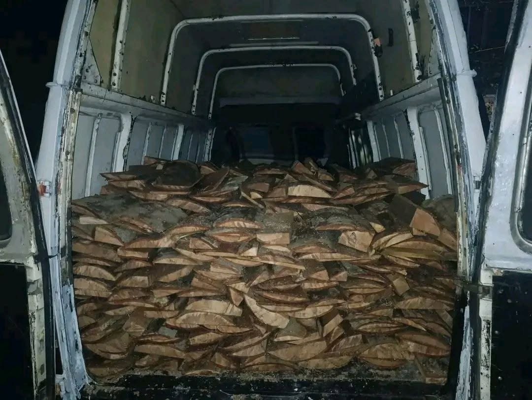 Firewood 3 cubic m coniferous