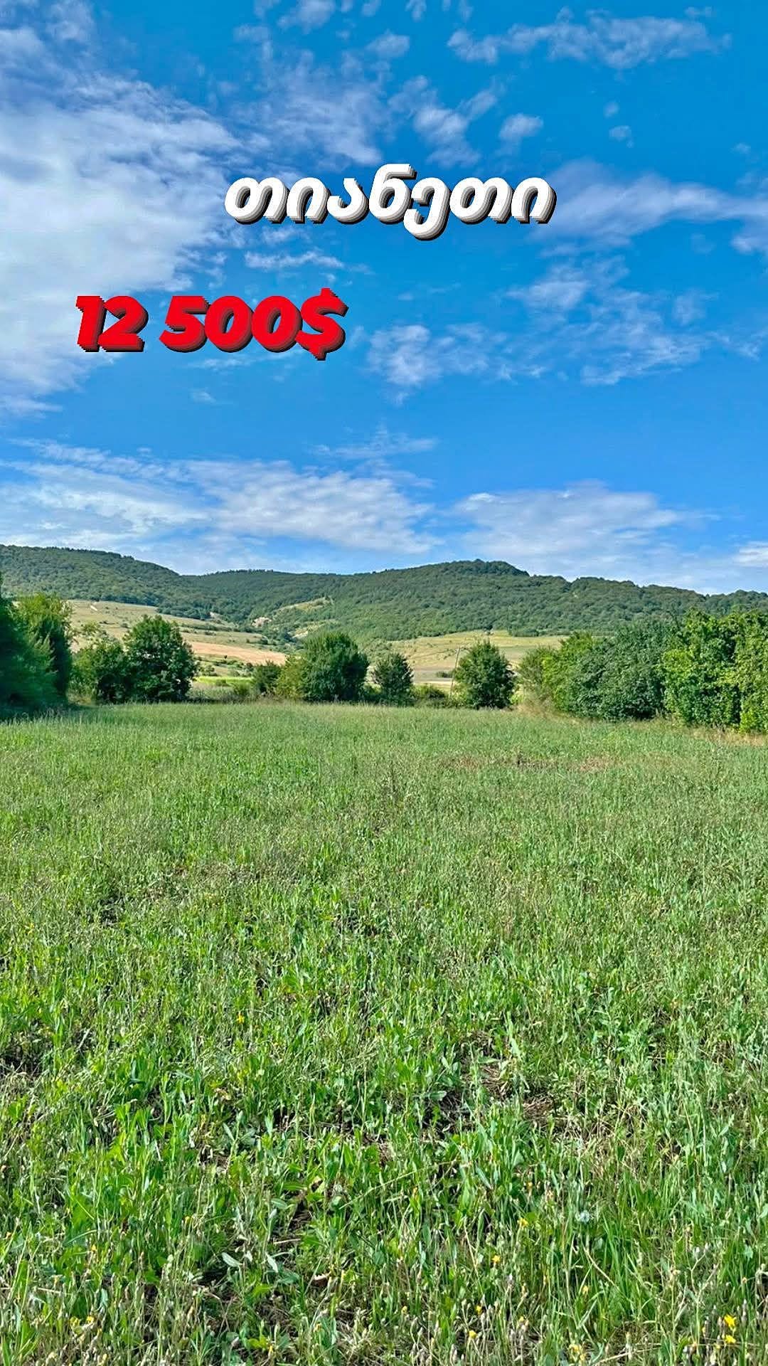 🏡🌿 Tianet'te, Tolenc köyünde - arazi - 12,500$