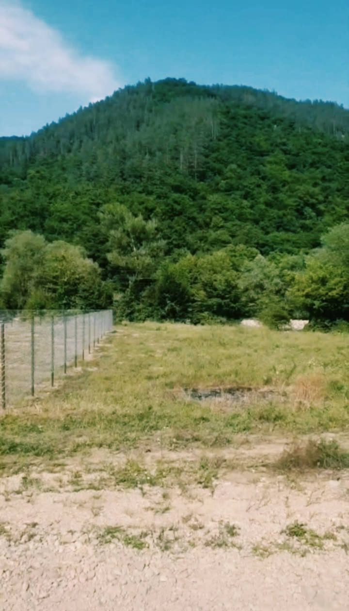 Arazi, Tsalka - $8,000