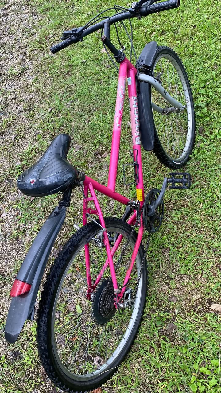 Bianchi — 300₾
