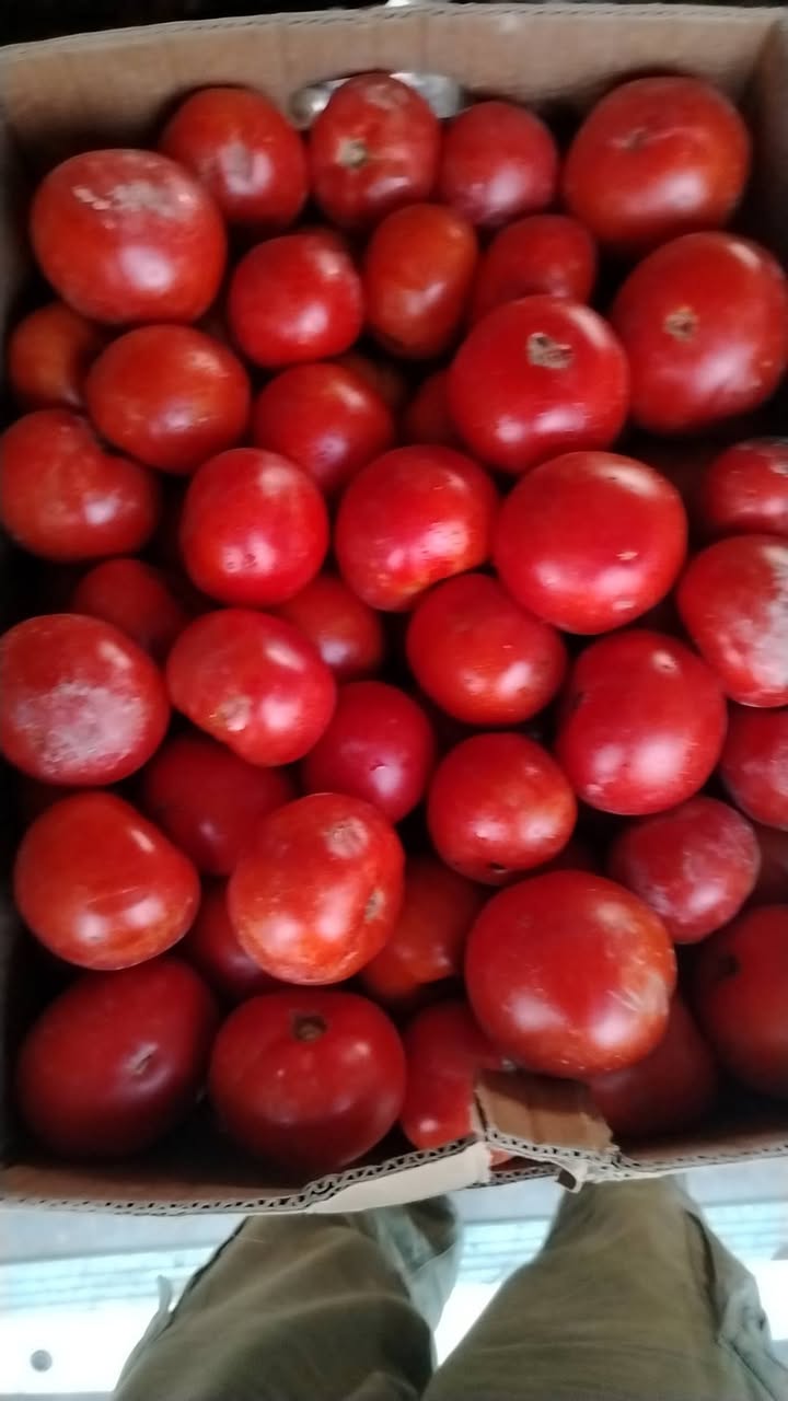 🍅 სლივკა — 1.50 ₾ 🍅