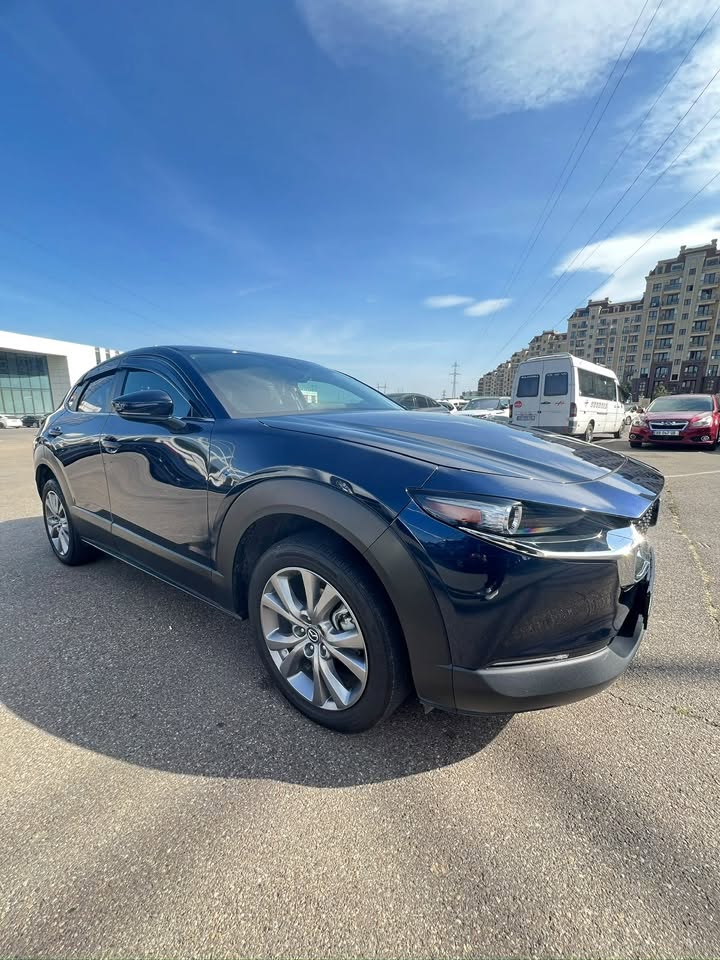 CX 30 2022