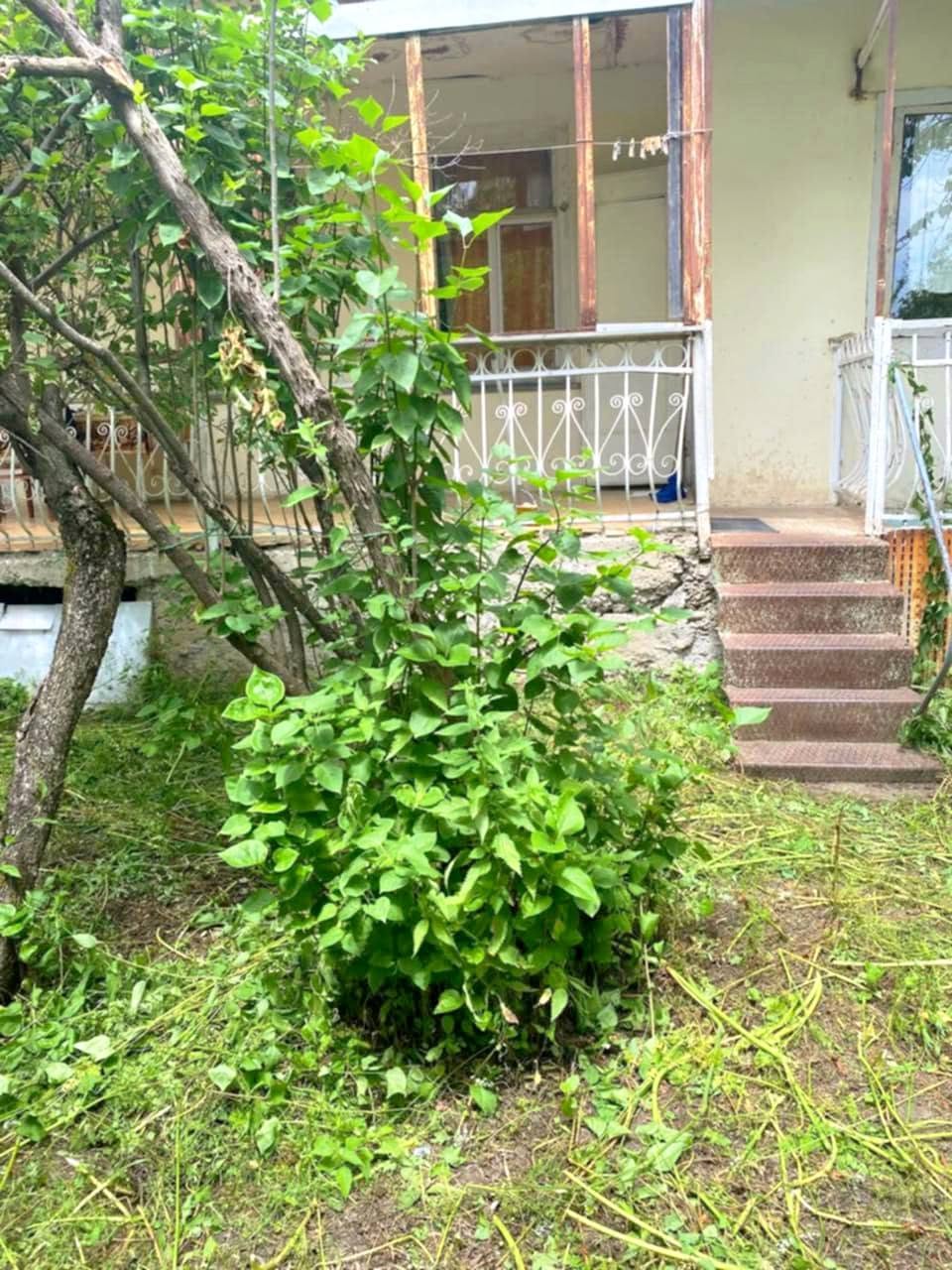 House, Tianeti
