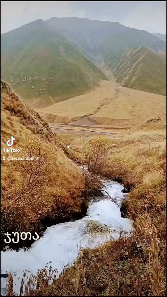 #ჯუთა Zezva Arabuli