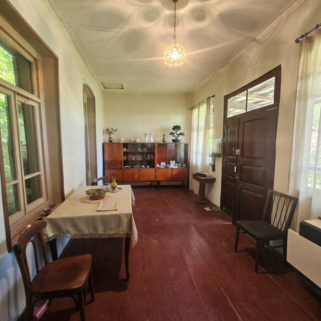 🏡 სახლი და დიდი ნაკვეთი სოფელ