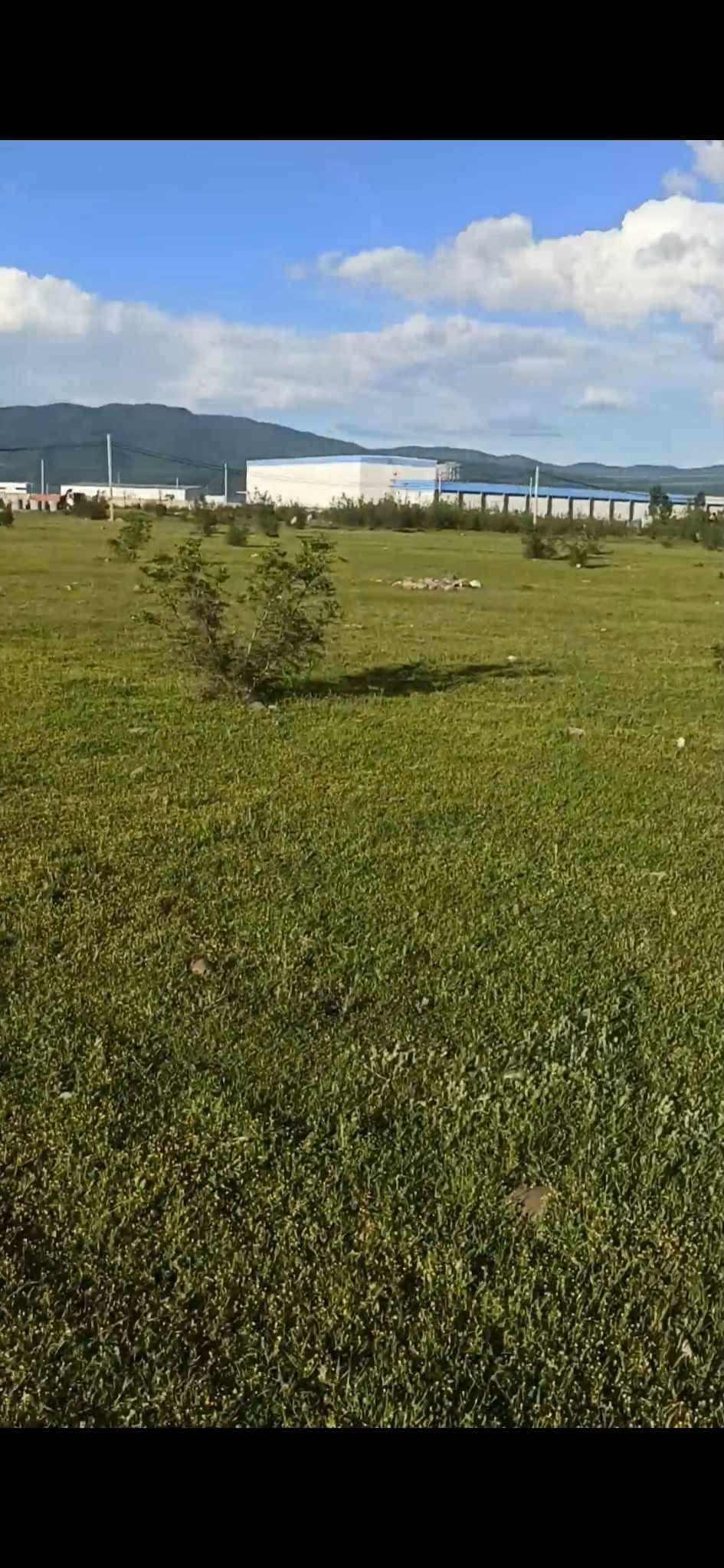 📍Продается земля в Натахтари, возле фабрики Барамбо — 40$