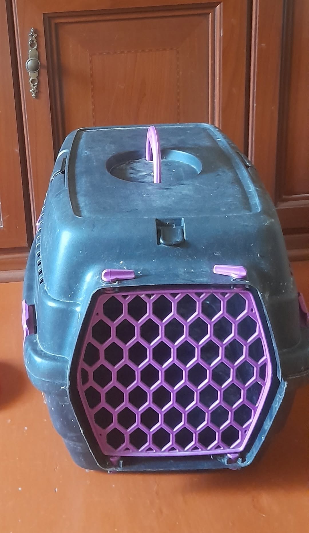 Standart orta ölçülü köpək və pişik nəqliyyat çantası