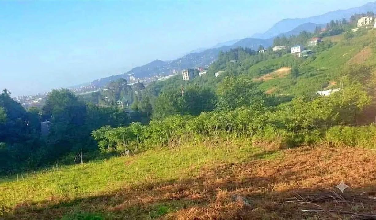 Toprak