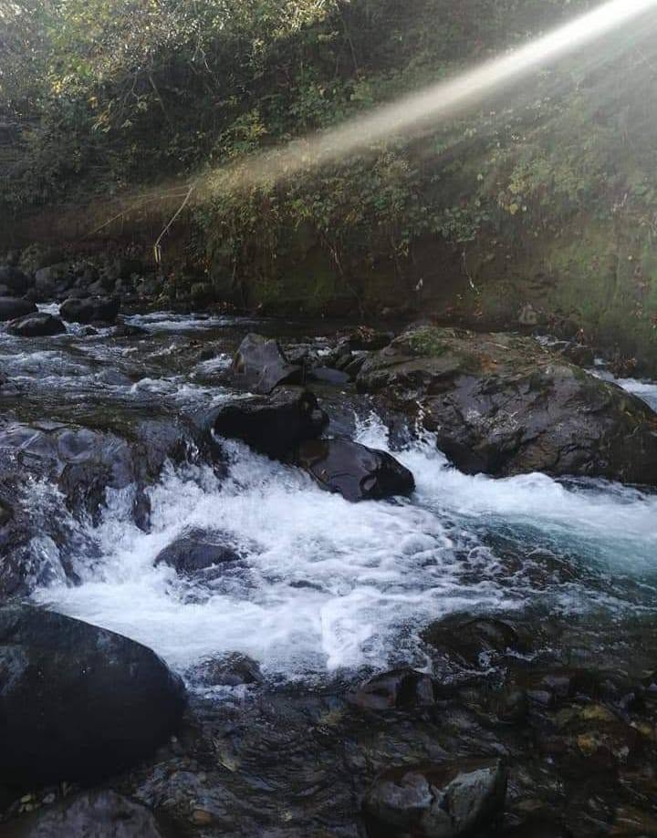 🏡 იყიდება ან იცვლება სახლი მთის