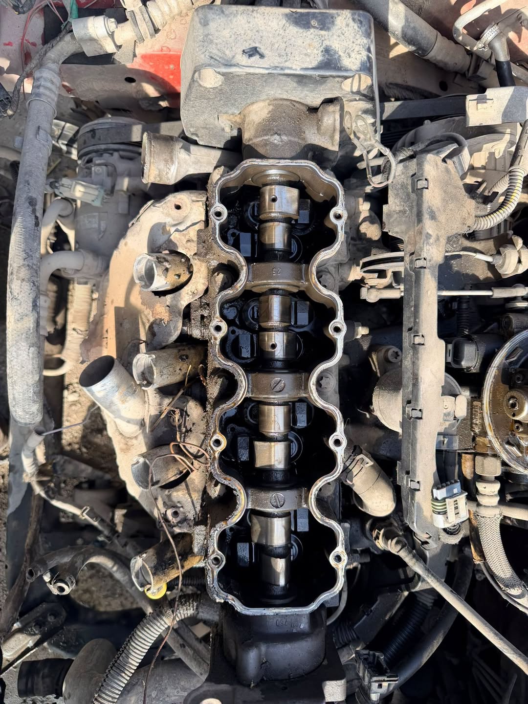 GM camshaft and hydraulic lifters