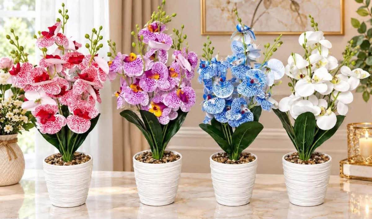 Stok doldu 🌸 sadece 15 lari 🌸 orkide