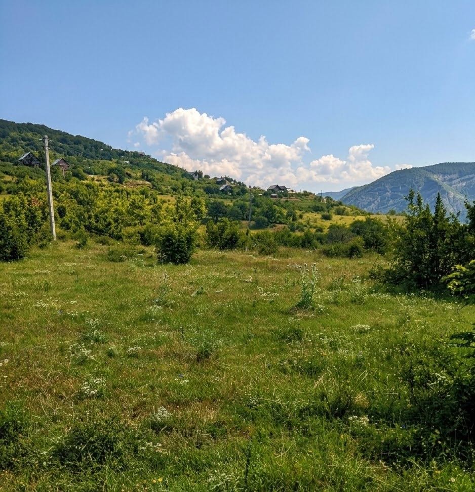 🏡 ააშენე შენი ოცნების სივრცე მამკოდში!