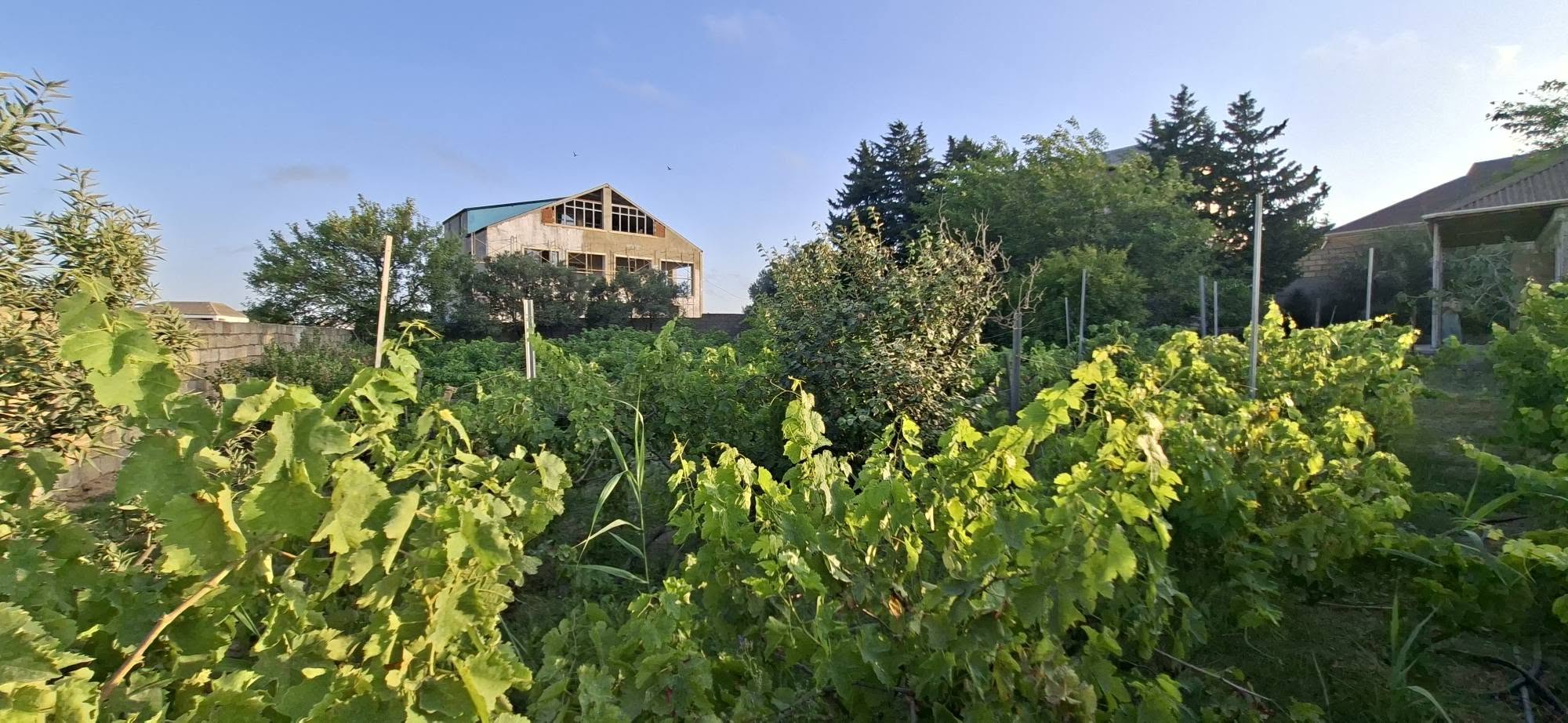 Həyət evi, Bakı — 250.000 Manat