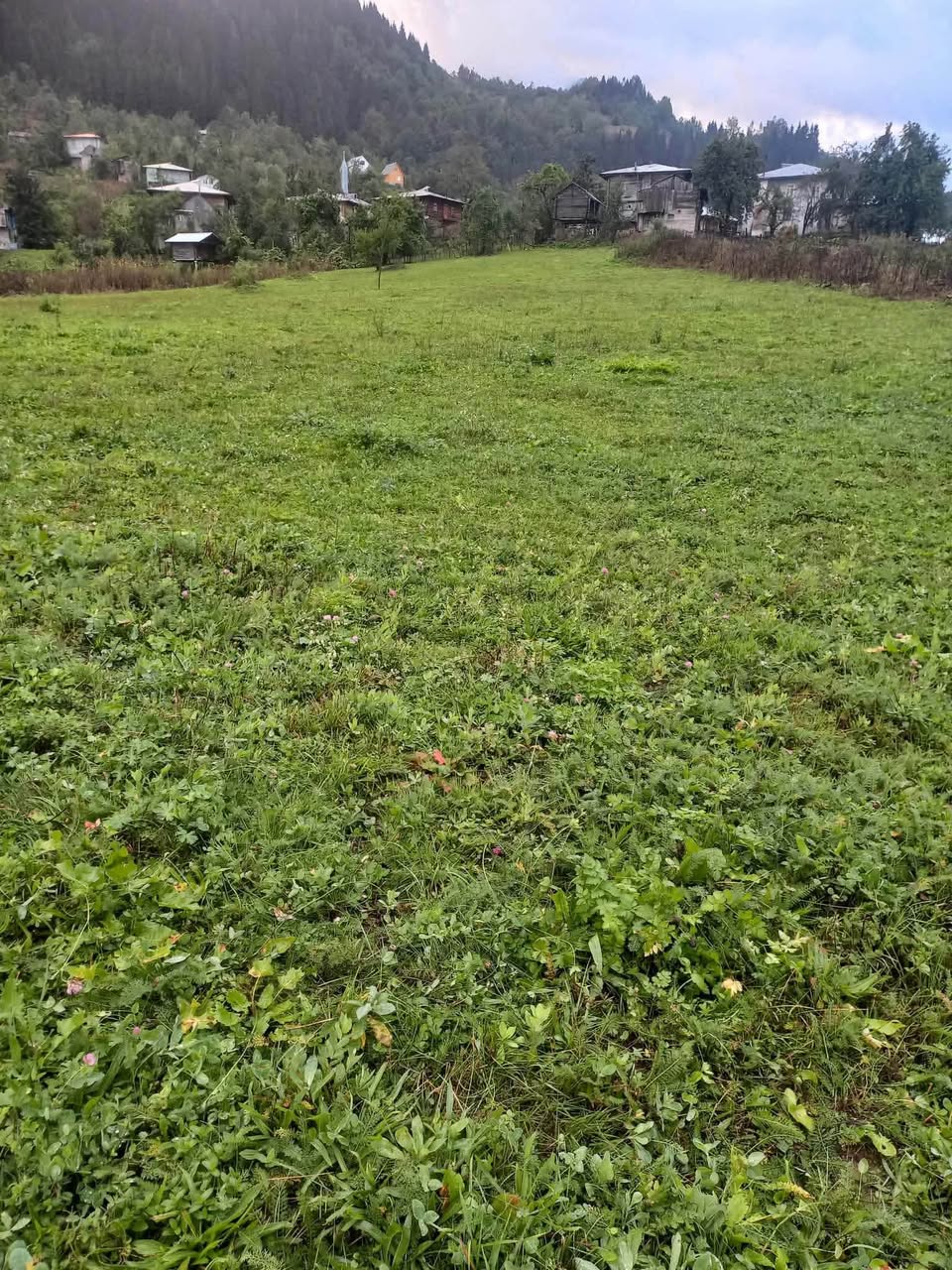 Torpaq sahəsi, Batumi