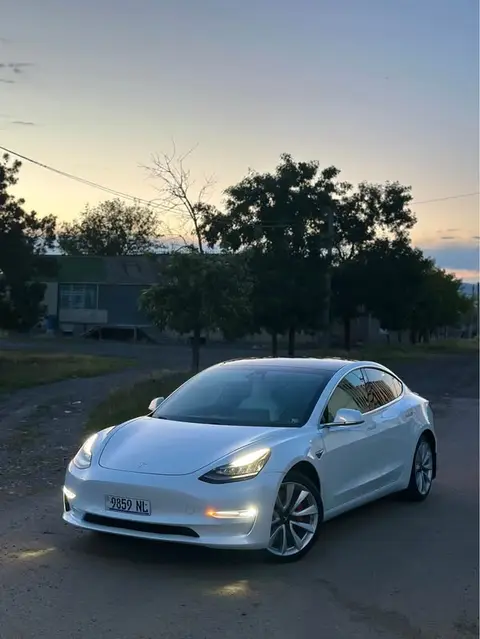 Tesla Model 3 2019