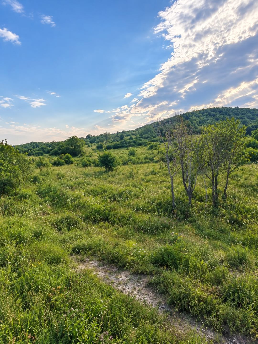 Plot of land, Tbilisi — $10,000
