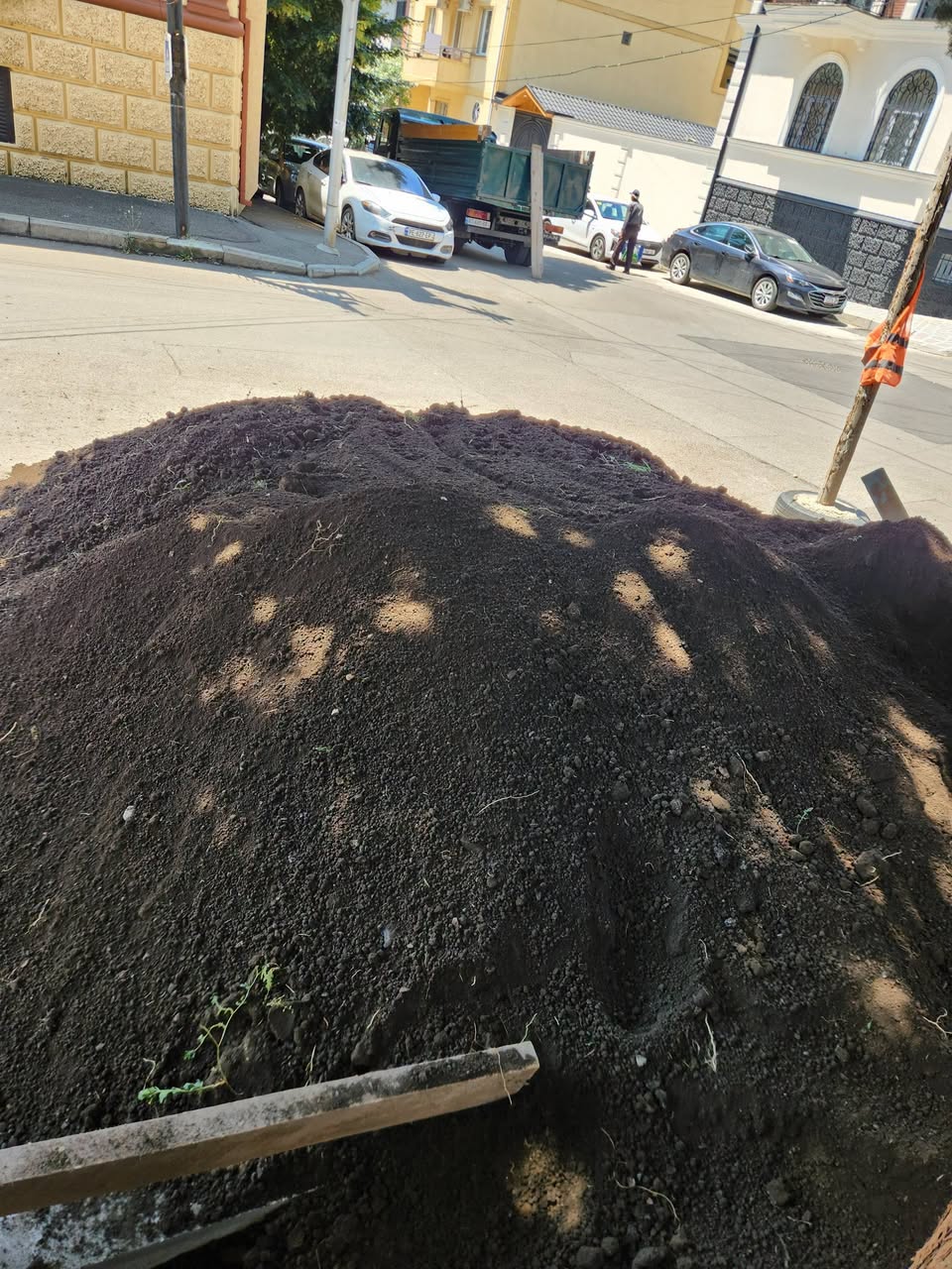 Bring forest black soil to the spot!
