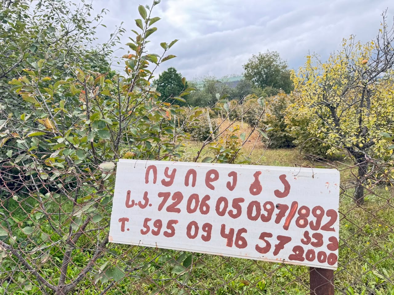 Satılır mənzil, Mcxeta